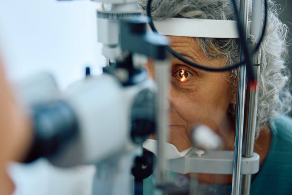 macular degeneration exam